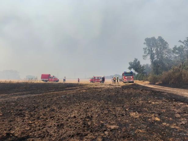 Vegetationsbrand Gänserndorf