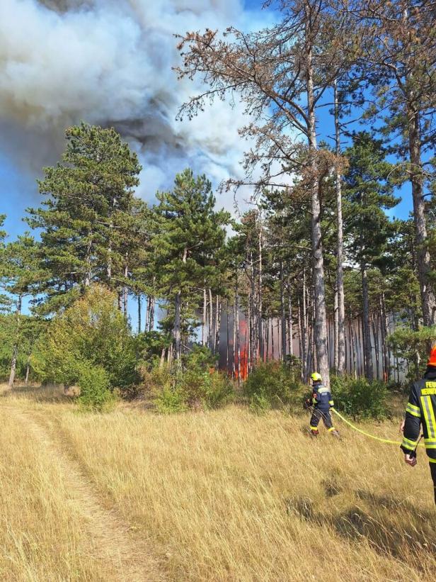 Feuerwehr bekämpft einen Waldbrand mit Flammen und dichter Rauchwolke zwischen Kiefern.