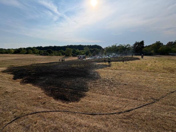  Feldbrand bei Enzersdorf im Thale