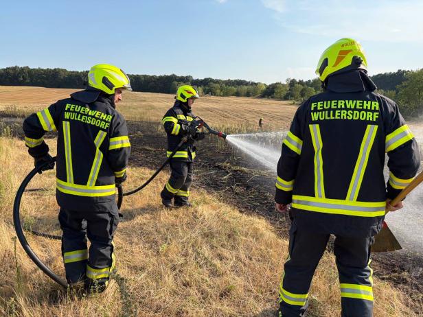  Feldbrand bei Enzersdorf im Thale