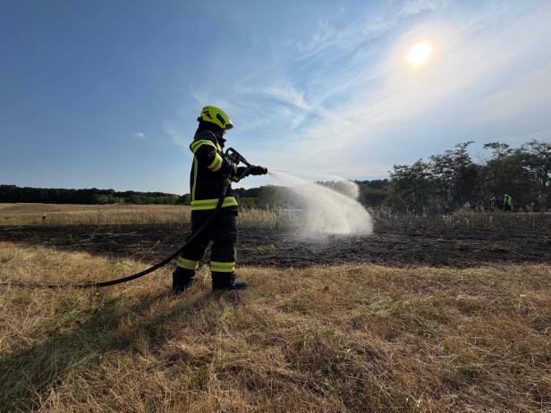  Feldbrand bei Enzersdorf im Thale