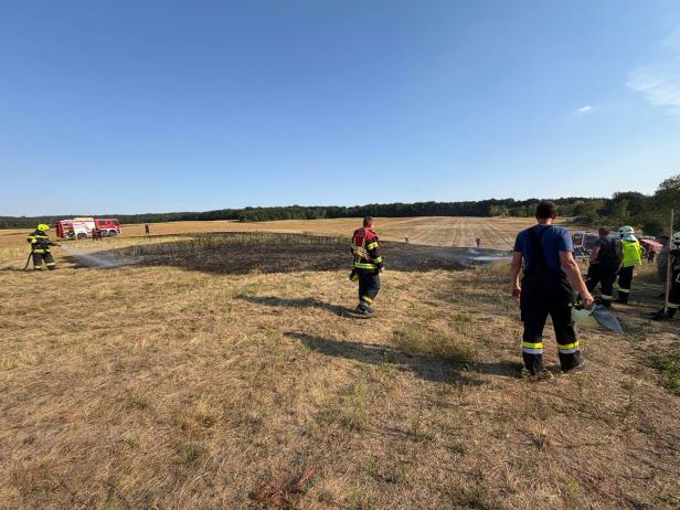  Feldbrand bei Enzersdorf im Thale