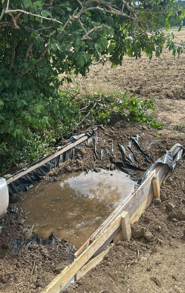 Rechteckige, mit Folie ausgekleidete Wassergrube im Erdreich neben einem Baum.