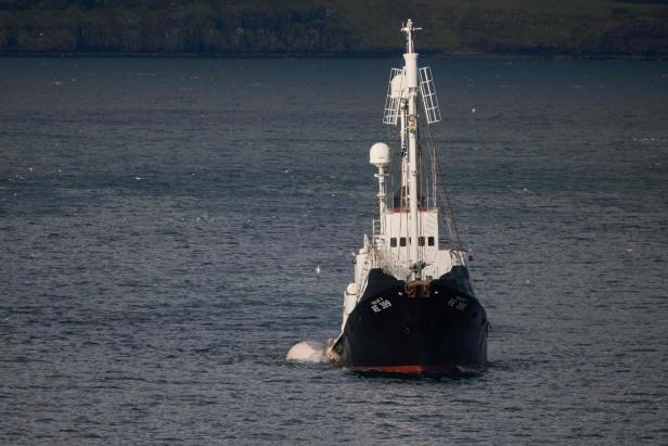 FILES-ICELAND-ANIMALS-WHALING-ENVIRONMENT-OCEANOGRAPHY