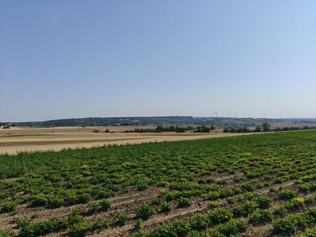 Weinviertler Bio-Erdnüsse