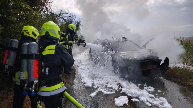 Fahrzeugbrand Breitenwaida