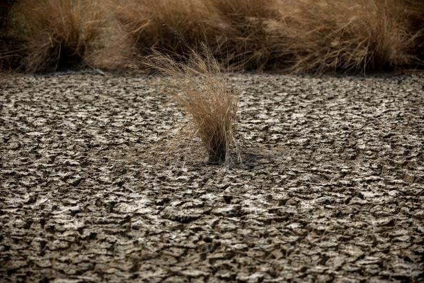 Indonesiens Salzfelder blühen unter der Dürre, die durch die sengende Hitze des El Niño verursacht wird