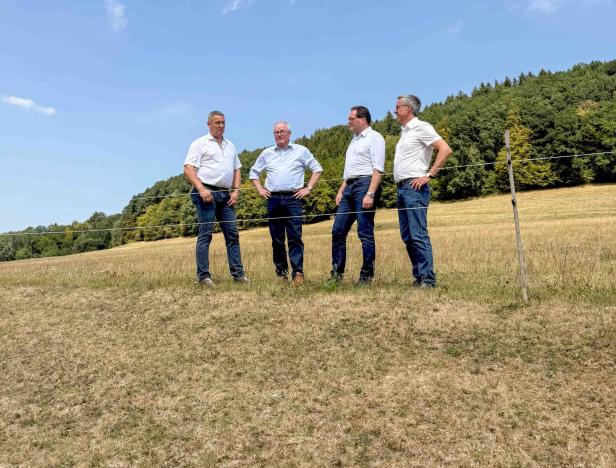 Kein Gras, kein Futter