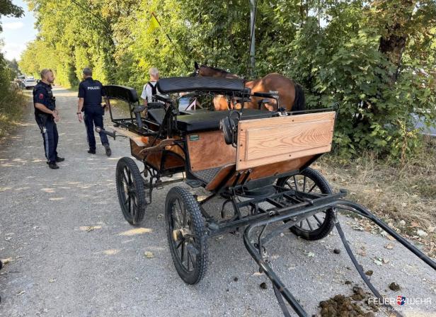 Kutsche nach dem Unfall