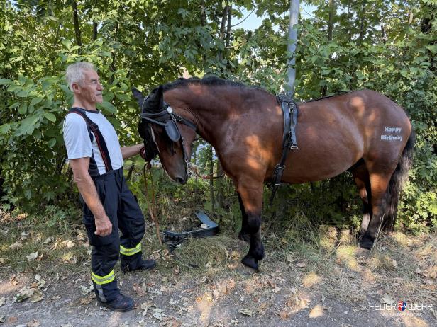 Feuerwehrmann mit einem der Kutschenpferde
