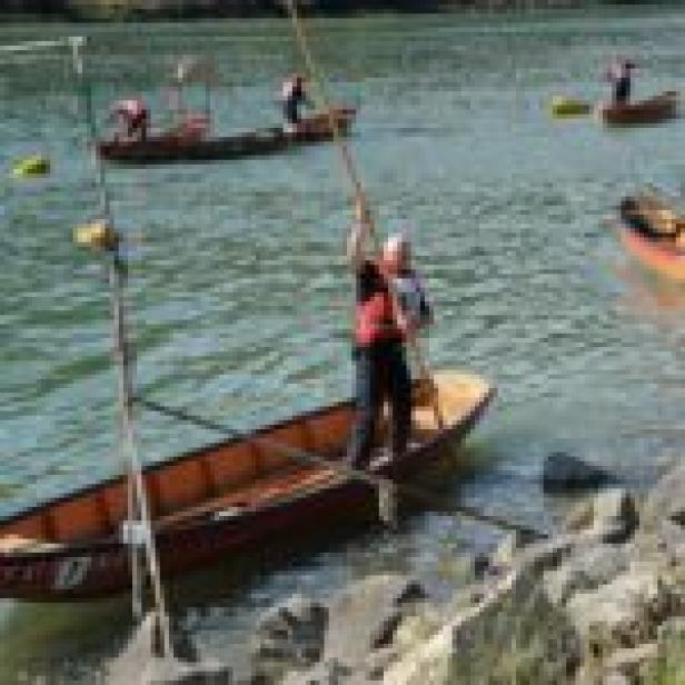 Zillen auf der Donau.