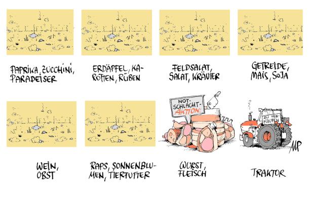 Karikatur Michael Pammesberger