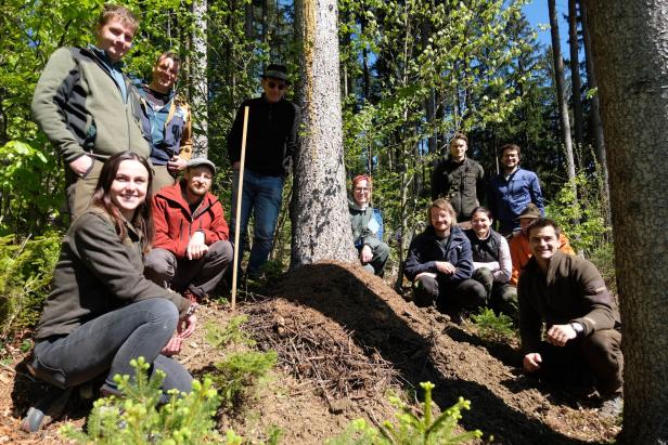 Mehrere Menschen posieren im sonnigen Wald um einen Baumstamm.