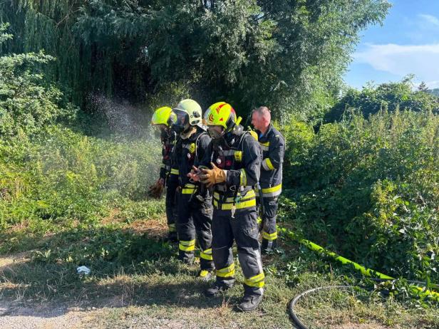 Vier Feuerwehrleute in Schutzausrüstung stehen im Grün und werden mit Wasser benetzt.