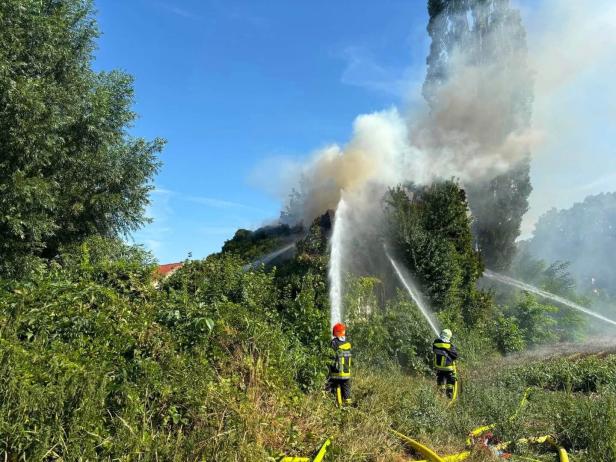 Feuerwehrleute löschen einen Vegetationsbrand mit Wasserstrahlen im Grünen, dichter Rauch steigt auf.