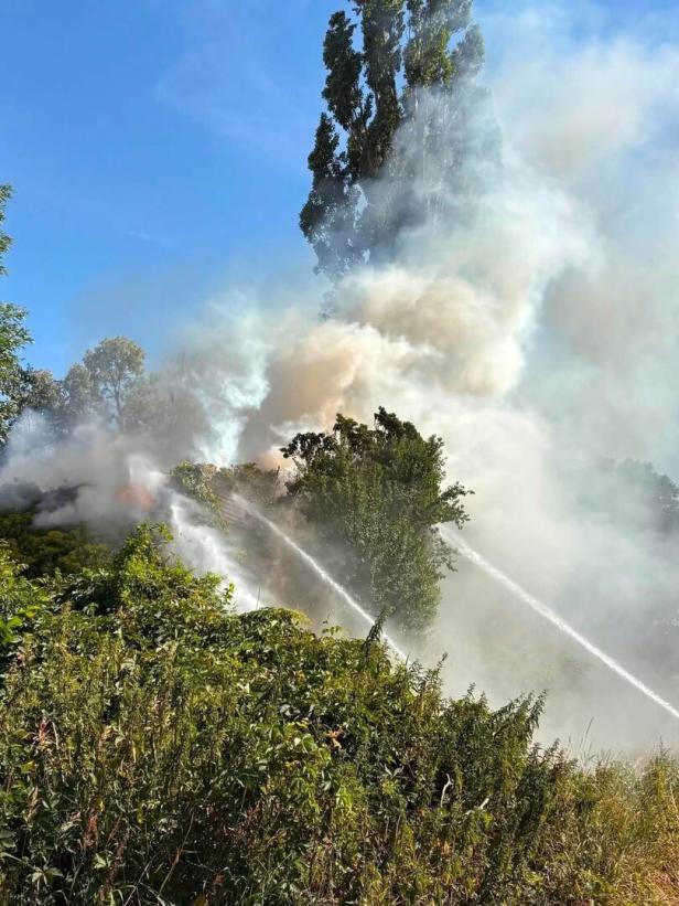 Dichter Rauch über Bäumen, während Wasserstrahlen einen Waldbrand bekämpfen.