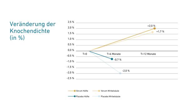Diagramm, das Veränderung in der Knochendichte in Hüfte und Wirbelsäule bei Verums- sowie Placebo-Gruppe anzeigt.