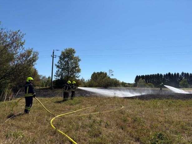 Kleinflächiger Vegetationsbrand 