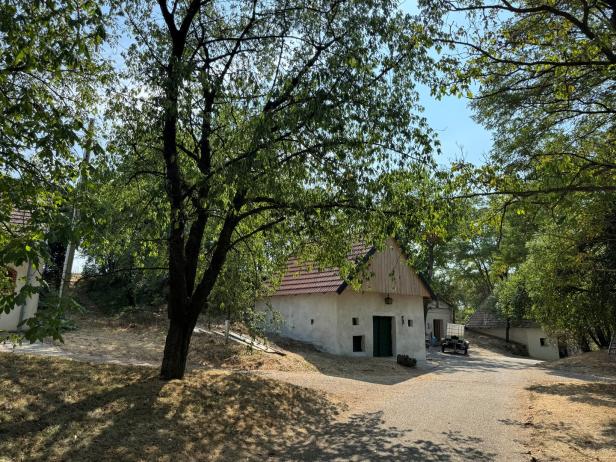 Ein weißes Gebäude mit Ziegeldach steht an einem sonnigen Weg, umgeben von Bäumen und einer ländlichen Umgebung.