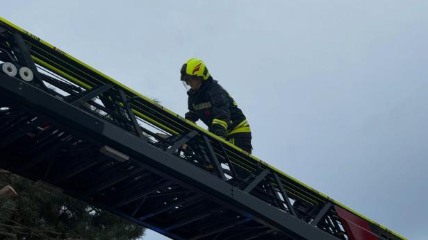 FF Strasshof
