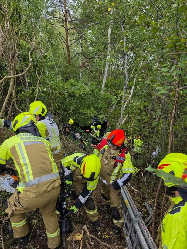 Feuerwehrkräfte in Schutzkleidung arbeiten in dichtem Wald an einer Rettungseinsatzstelle mit Tragen und Geräten.