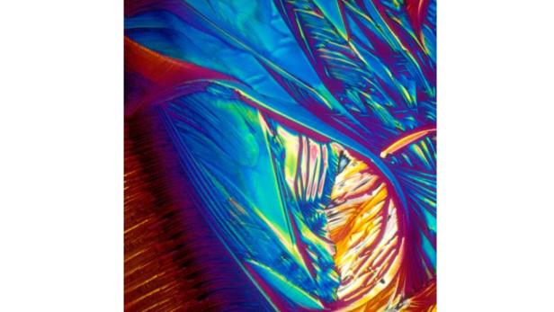 Mikroskop: So sieht Cola-Rum wirklich aus