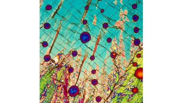 Mikroskop: So sieht Cola-Rum wirklich aus