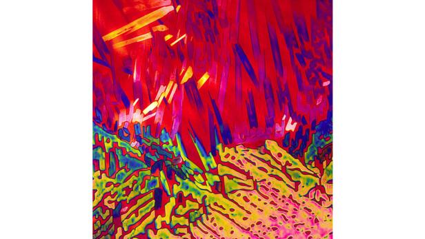 Mikroskop: So sieht Cola-Rum wirklich aus