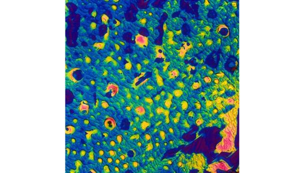 Mikroskop: So sieht Cola-Rum wirklich aus