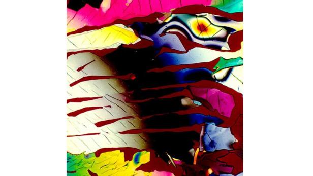 Mikroskop: So sieht Cola-Rum wirklich aus