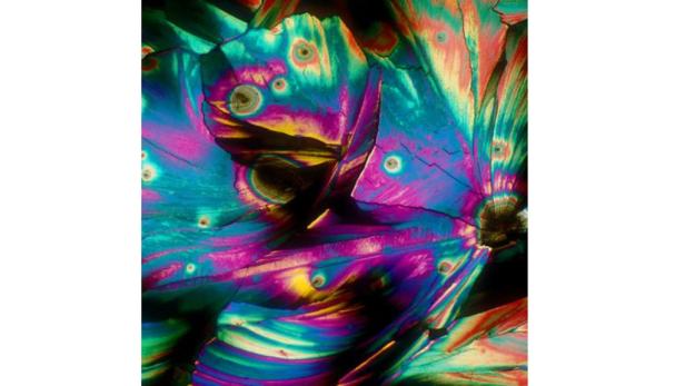 Mikroskop: So sieht Cola-Rum wirklich aus