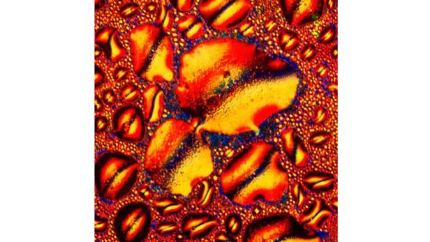 Mikroskop: So sieht Cola-Rum wirklich aus