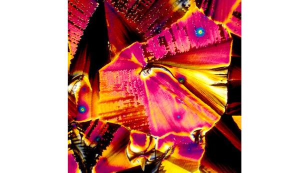 Mikroskop: So sieht Cola-Rum wirklich aus