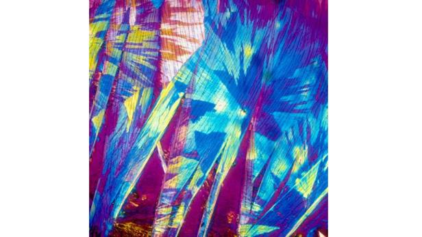 Mikroskop: So sieht Cola-Rum wirklich aus