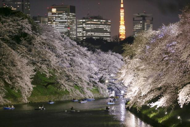 So verläuft Japans "Kirschblütenfront"