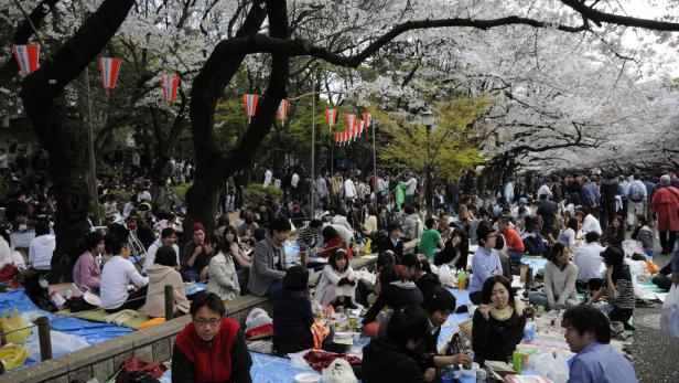 So verläuft Japans "Kirschblütenfront"