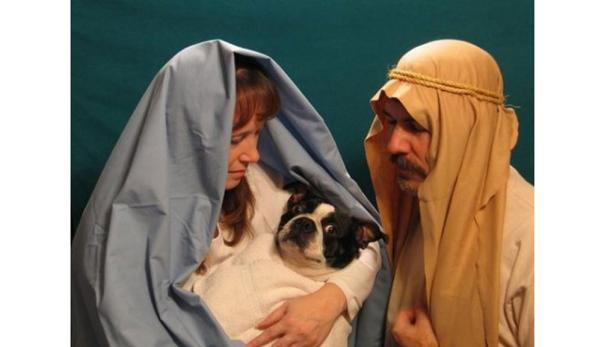 Verrückte Familien-Fotos zu Weihnachten