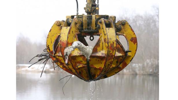 Zeit-Zeugen: Bilder nach 1945