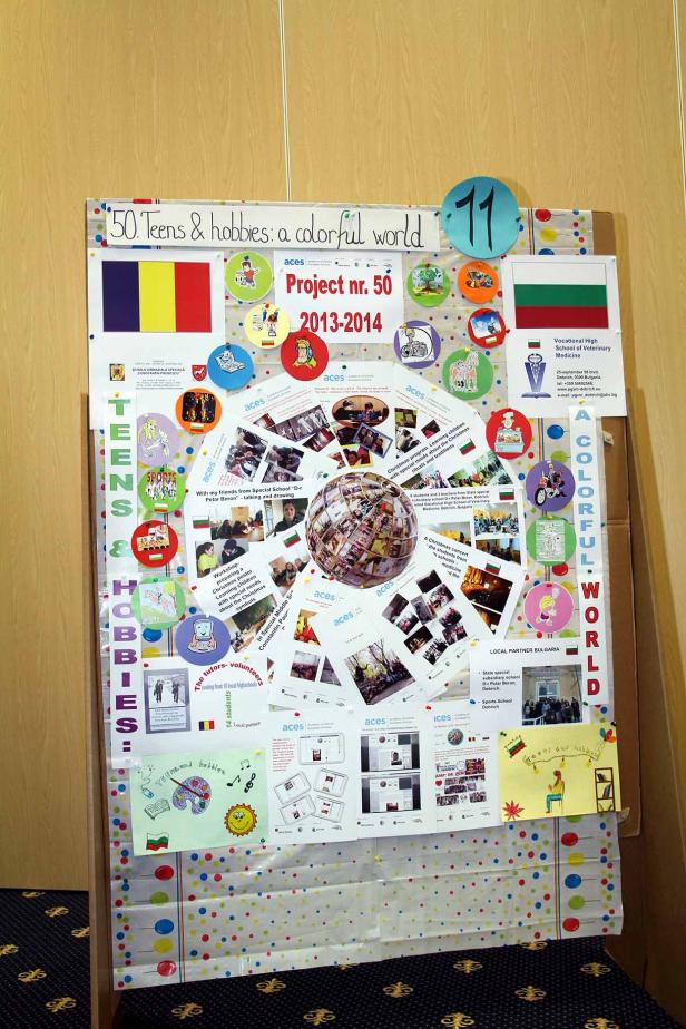 Eine Pinnwand mit dem Titel „50 Teens & Hobbies: A Colorful World, Project Nr. 50, 2013-2014“ mit Fotos und Zeichnungen.