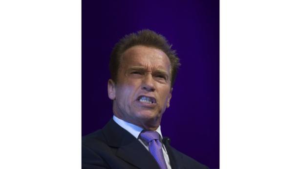 Österreicher googelten diese Promis