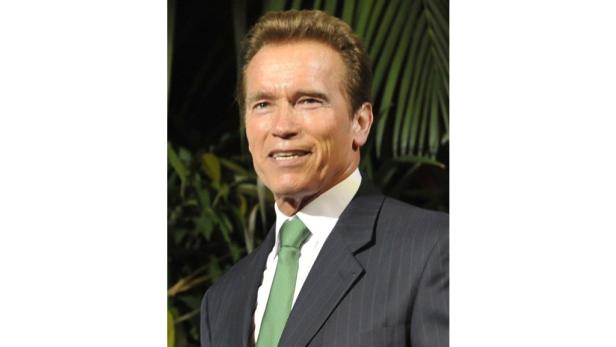 Österreicher googelten diese Promis