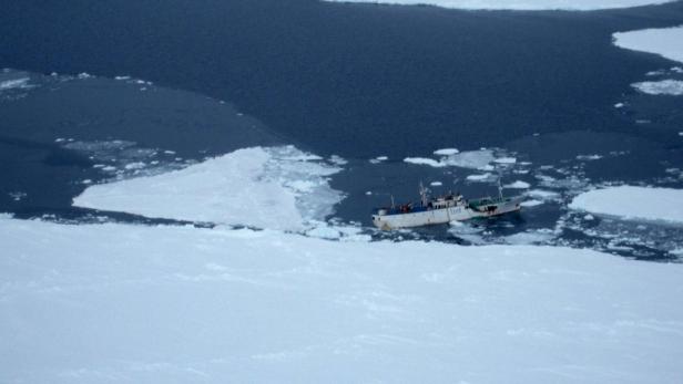 Crew kämpft gegen Untergang in Antarktis