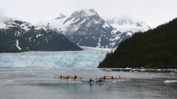 Mehrere Kajakfahrer paddeln auf dem Wasser vor einem Gletscher und schneebedeckten Bergen.