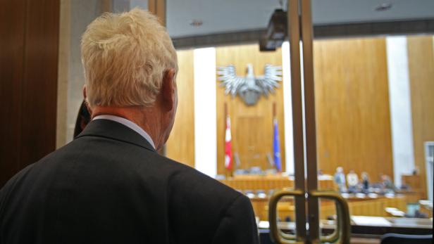 Ein Mann blickt in einen Sitzungssaal mit dem österreichischen Bundesadler.