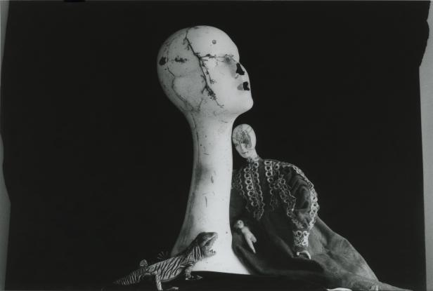 Eine beschädigte Schaufensterpuppe, eine Puppe im Kleid und eine Echse vor einem dunklen Hintergrund.