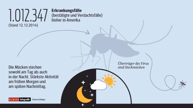 Chikungunya: "Der Urlaub ist im Eimer"