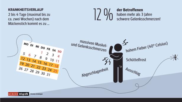 Chikungunya: "Der Urlaub ist im Eimer"