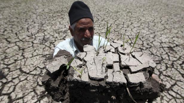 Bauern: Schäden werden durch Hitze täglich mehr