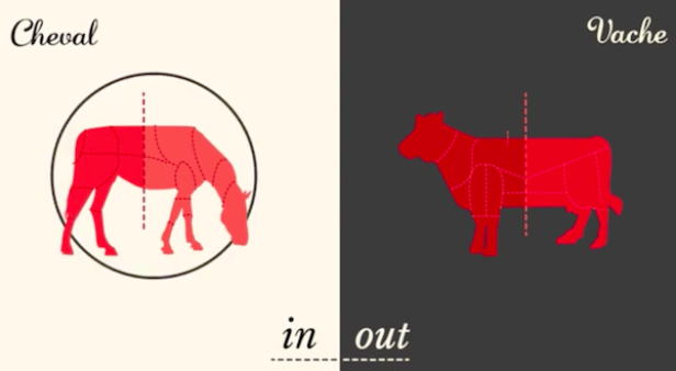 Eine Illustration, die die Fleischstücke von Pferd und Kuh vergleicht.