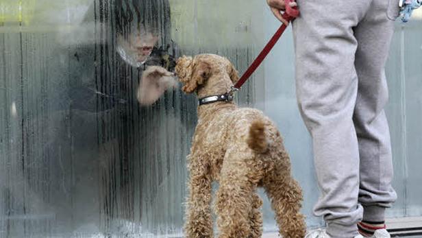 Bilder des Jahres 2011